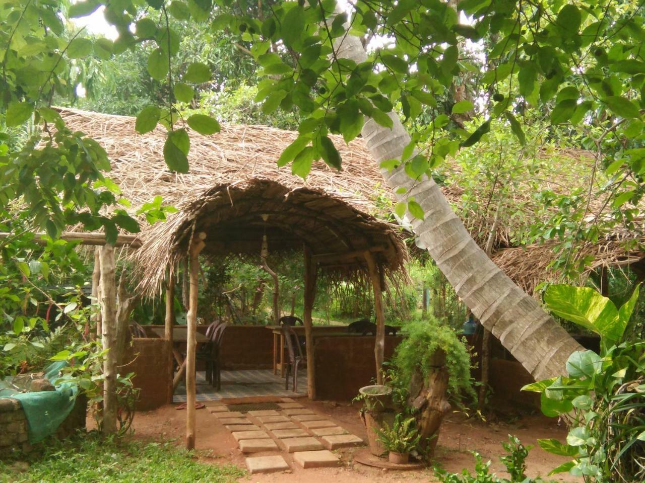 Gimanhala Cottage & Cookary Class Anuradhapura Exterior photo